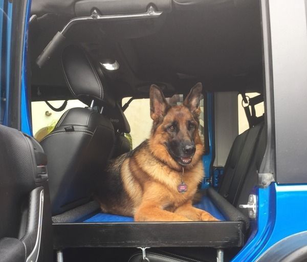  Truck Accessories for Dogs