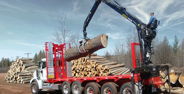Loading Log Trucks
