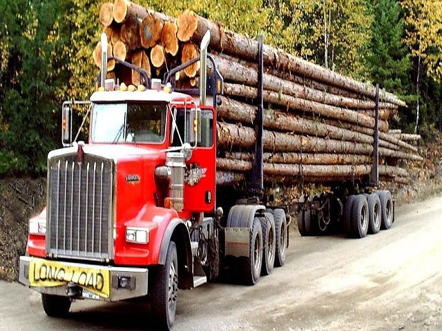 Insurance For Log Trucks