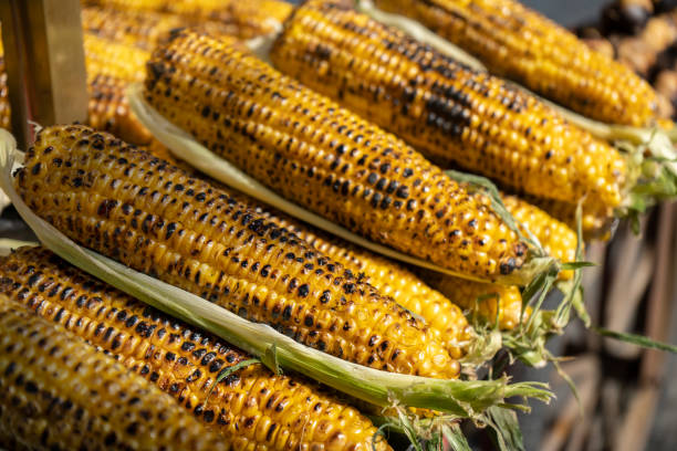 Things to Consider Before Purchasing a Corn Roaster