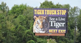 tiger truck stop louisiana