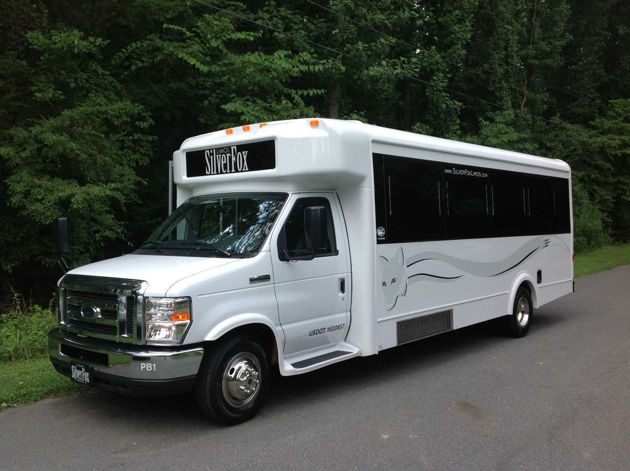 Best Bus Types for Party Bus for Sale