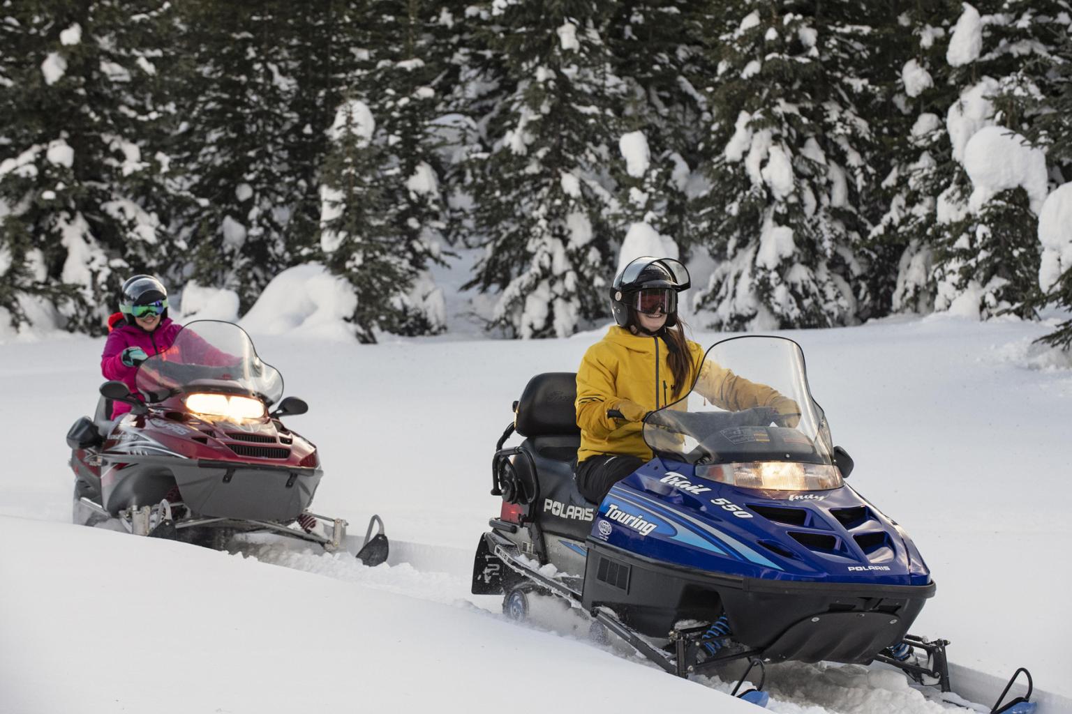 Most Popular Snowmobile Types