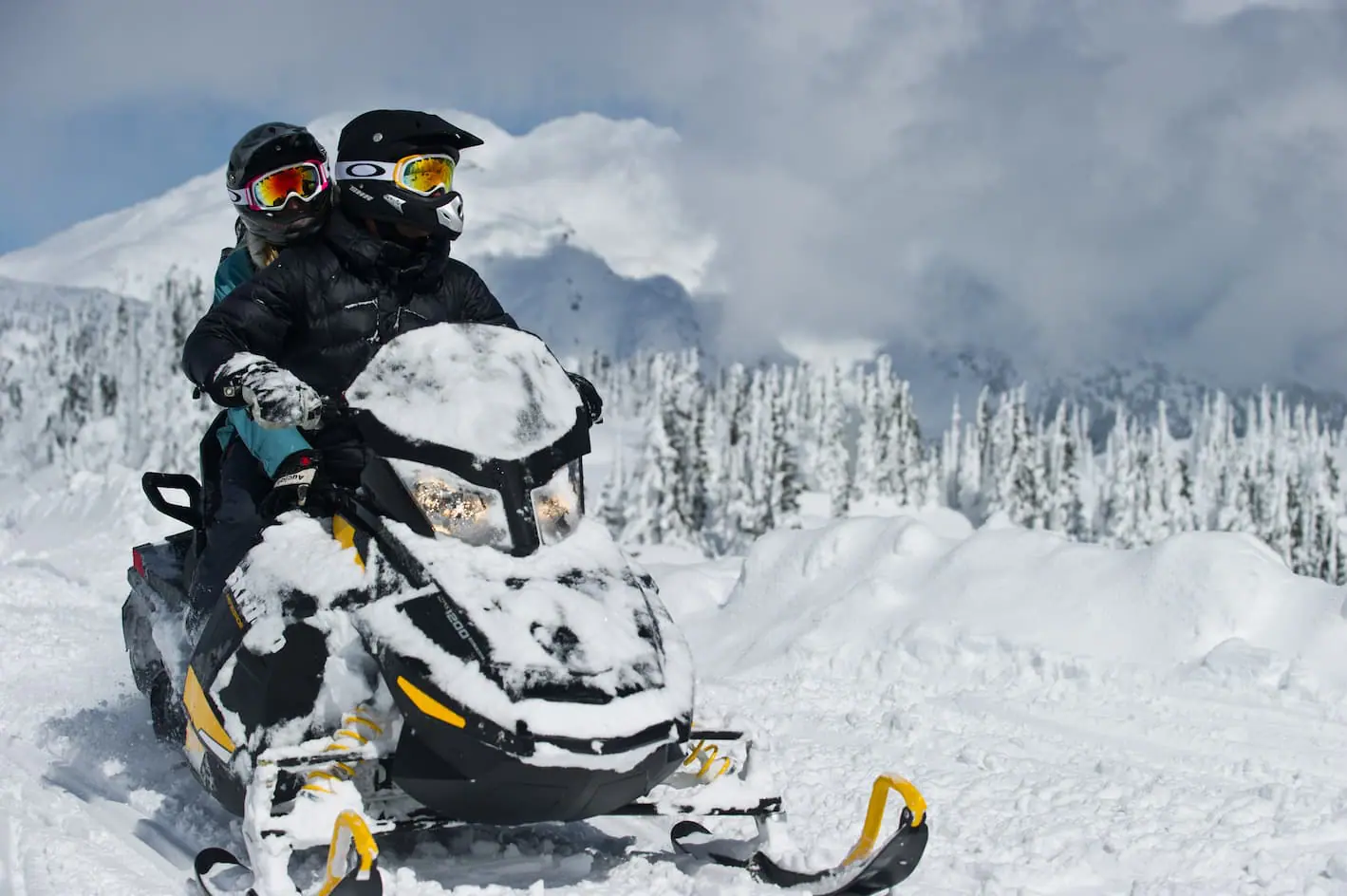 What is the Blue Book for Snowmobiles?
